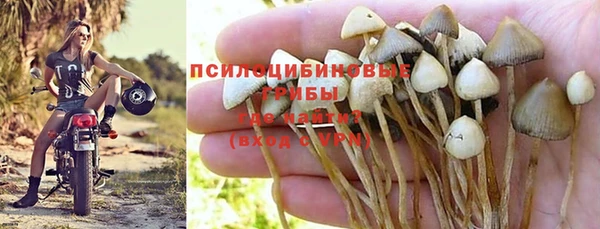 винт Бронницы