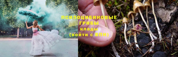 spice Бугульма