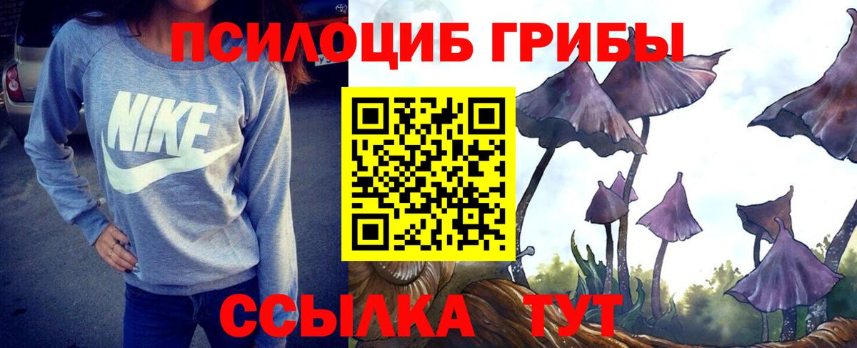 Галлюциногенные грибы прущие грибы Валуйки