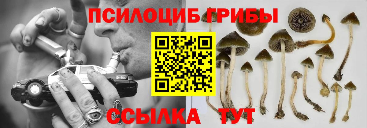 Галлюциногенные грибы MAGIC MUSHROOMS  Вход с VPN  Галлюциногенные грибы прущие грибы  Валуйки 